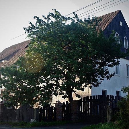 Gosciniec Kaszarnia Kamienne Villa Mirsk Bagian luar foto