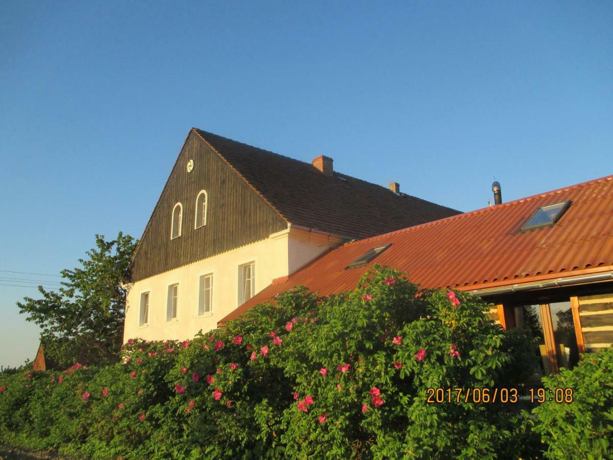 Gosciniec Kaszarnia Kamienne Villa Mirsk Bagian luar foto